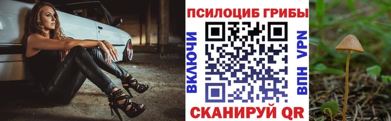 Галлюциногенные грибы Psilocybe  Ростов 